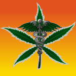 Worker has medical marijuana license: Can company fire him?